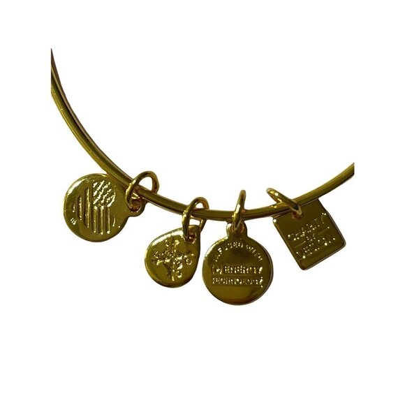 NWT Alex And Ani Gold Unicorn Charm Bangle Children's Miracle Network Hospitals - Picture 2 of 6